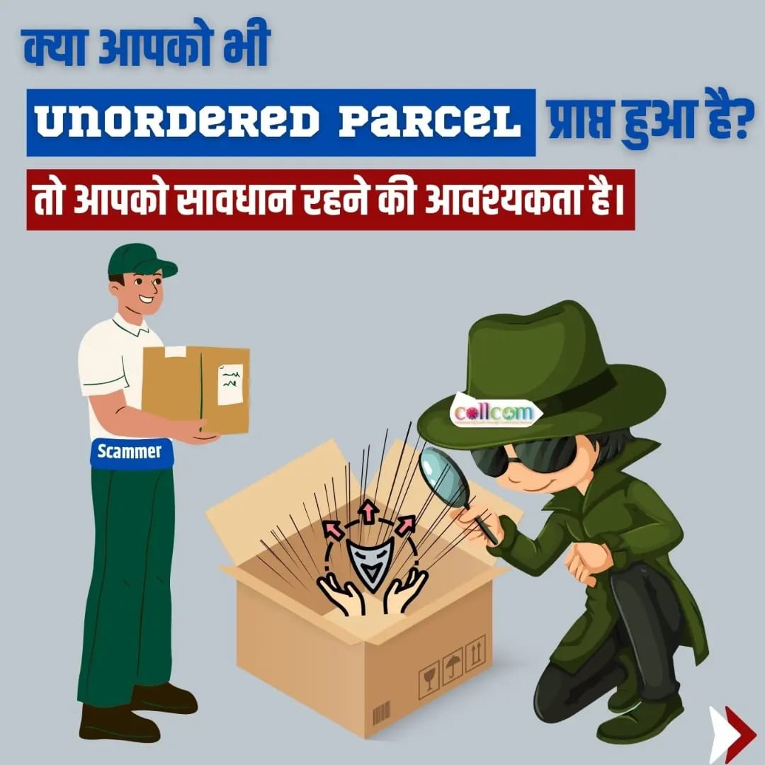 Fake Delivery Cyber Fraud Poster